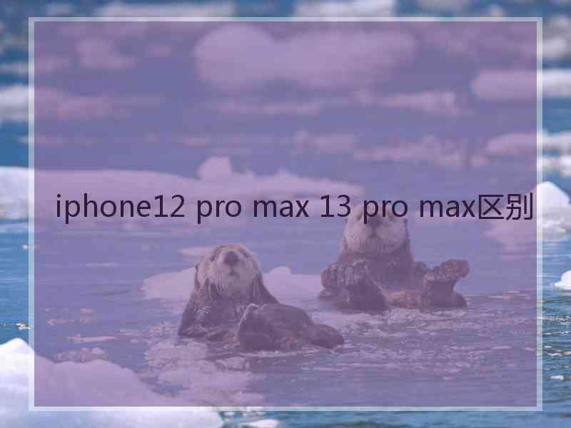 iphone12 pro max 13 pro max区别