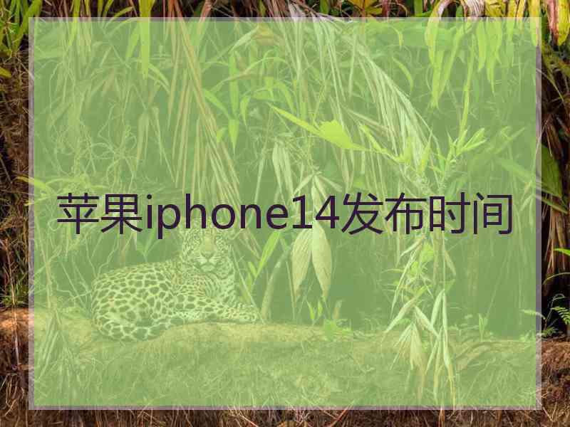 苹果iphone14发布时间