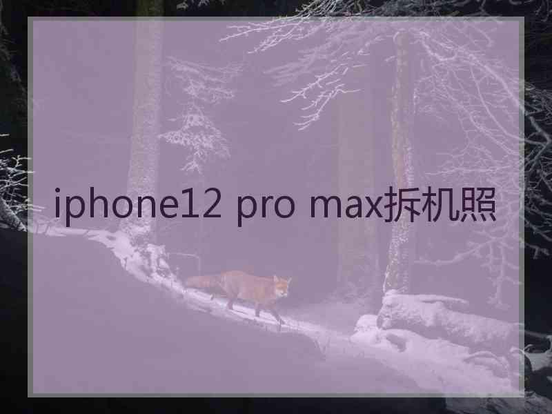 iphone12 pro max拆机照