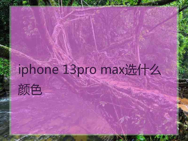 iphone 13pro max选什么颜色