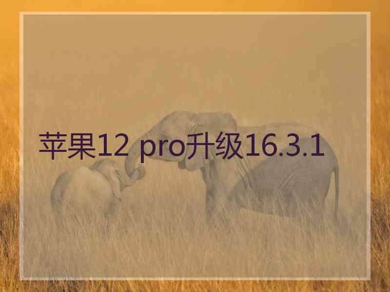 苹果12 pro升级16.3.1