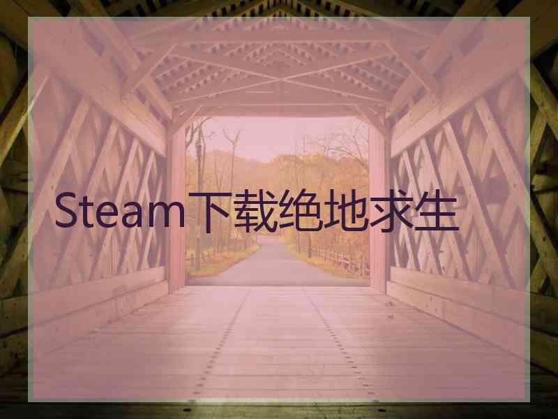 Steam下载绝地求生