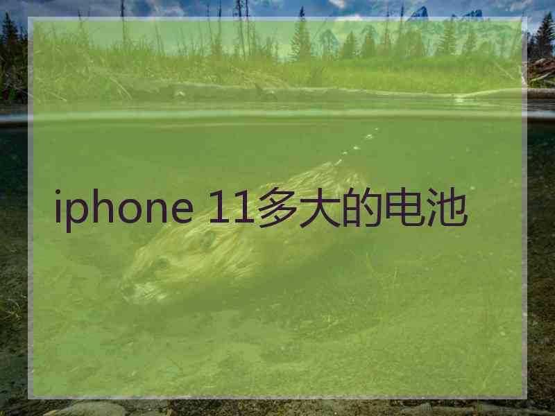 iphone 11多大的电池