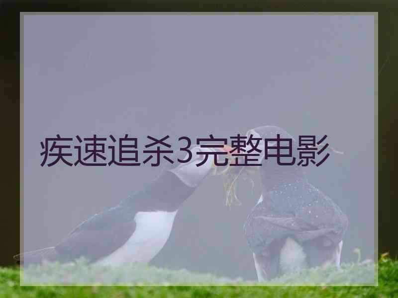 疾速追杀3完整电影