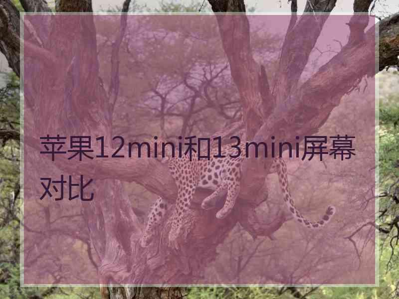 苹果12mini和13mini屏幕对比