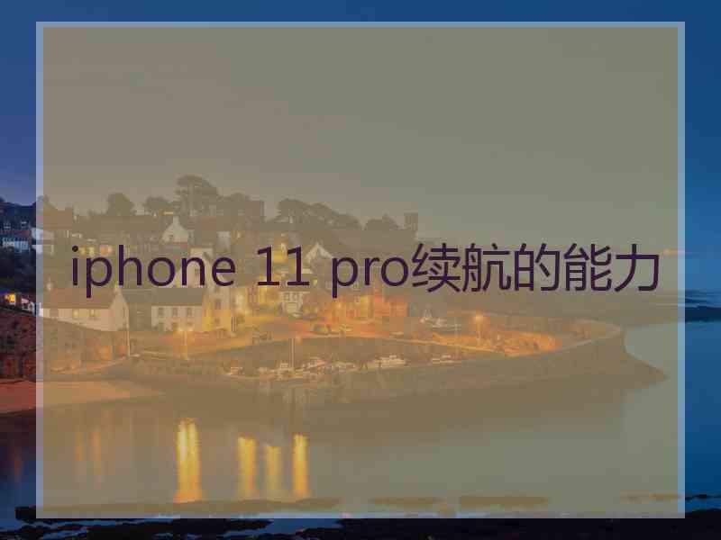 iphone 11 pro续航的能力