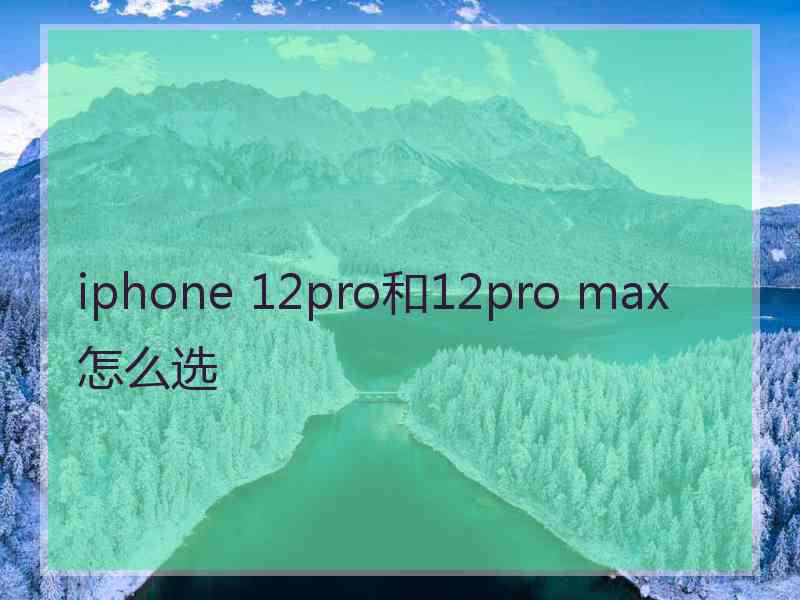 iphone 12pro和12pro max怎么选