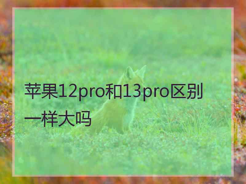 苹果12pro和13pro区别一样大吗