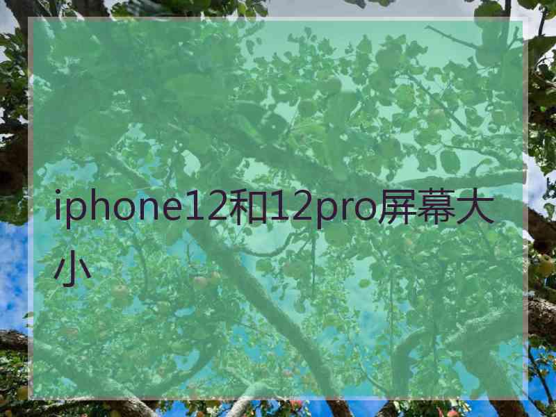 iphone12和12pro屏幕大小