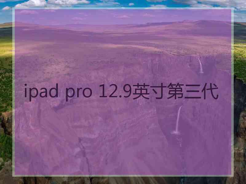 ipad pro 12.9英寸第三代