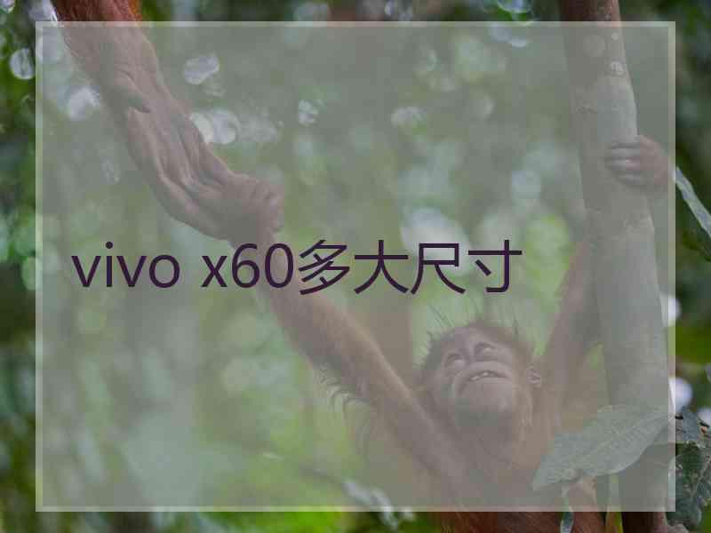 vivo x60多大尺寸