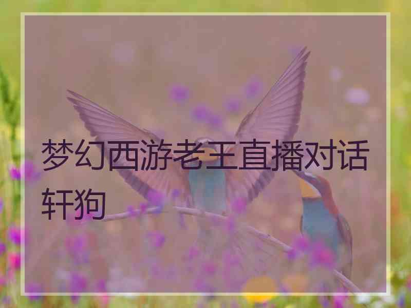 梦幻西游老王直播对话轩狗