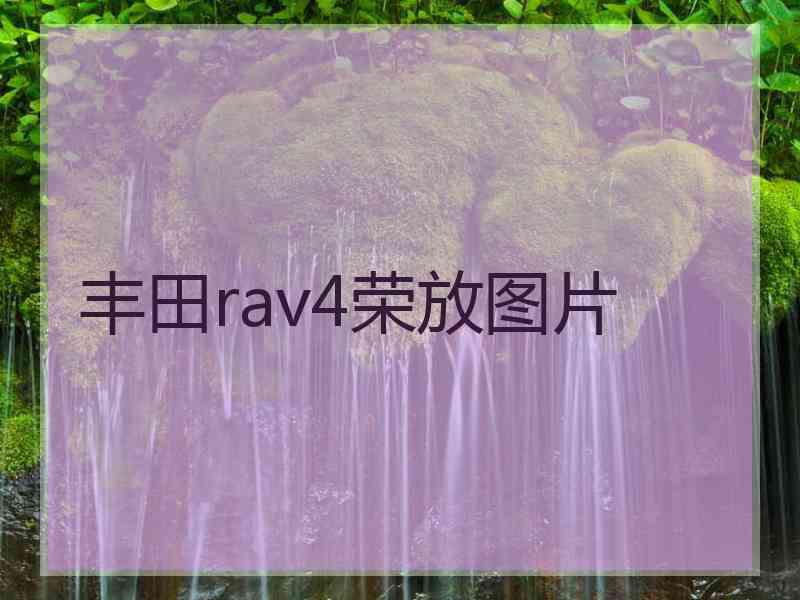 丰田rav4荣放图片