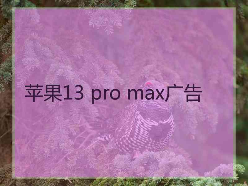 苹果13 pro max广告