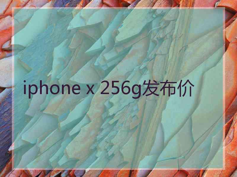 iphone x 256g发布价