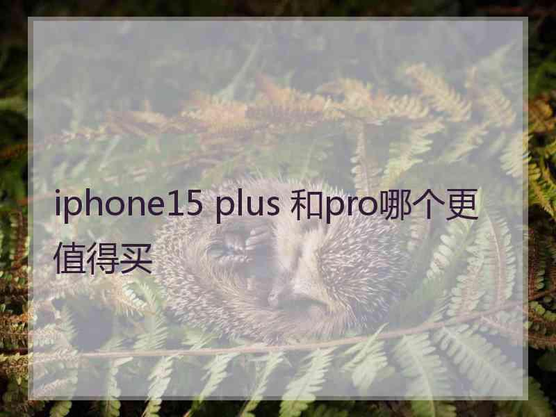 iphone15 plus 和pro哪个更值得买