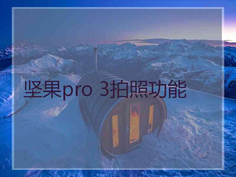 坚果pro 3拍照功能