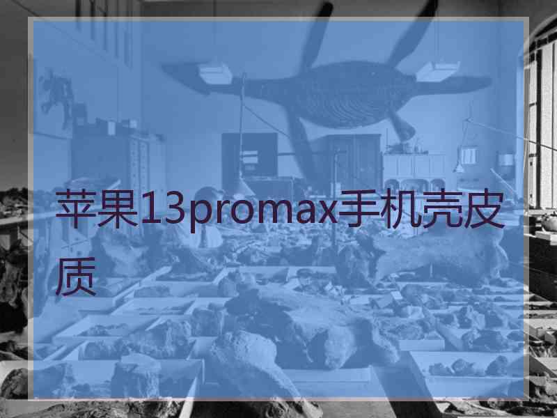 苹果13promax手机壳皮质