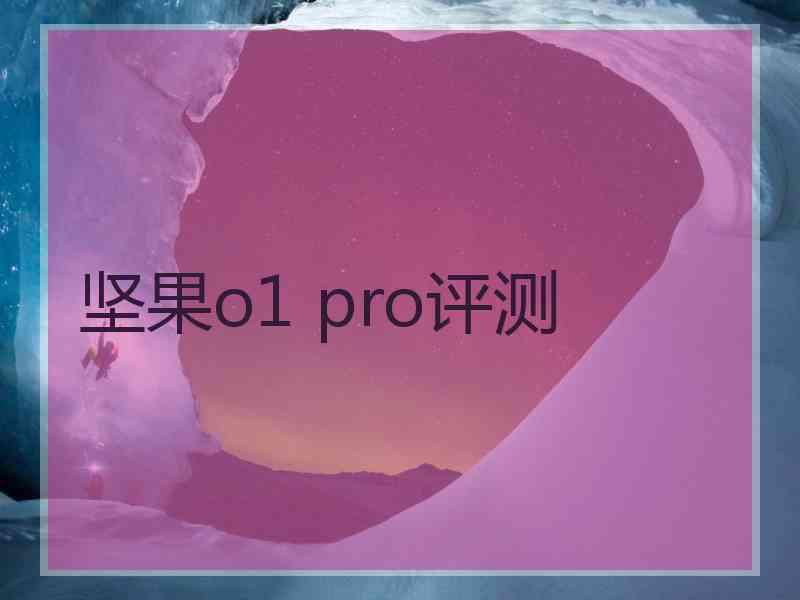 坚果o1 pro评测