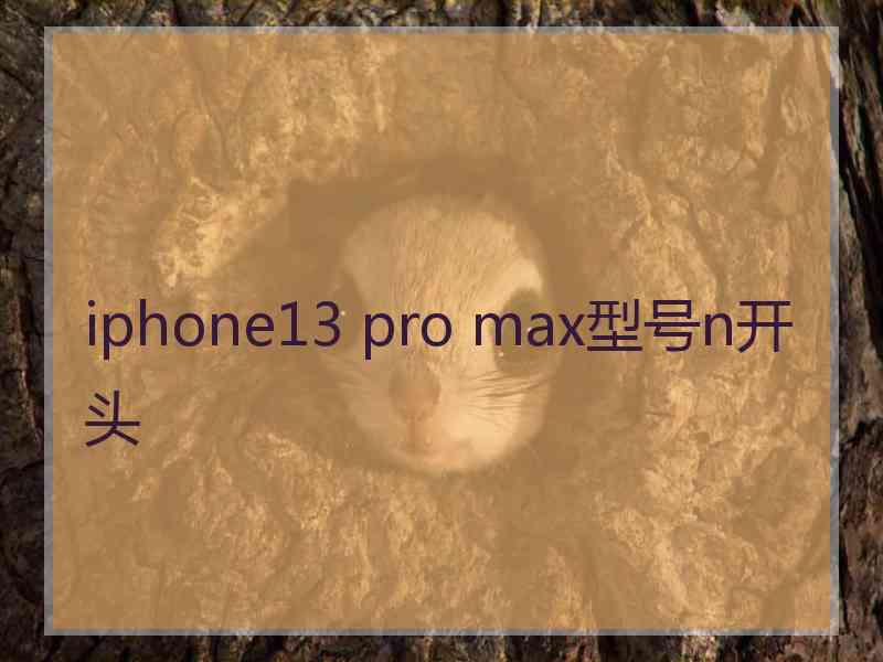 iphone13 pro max型号n开头