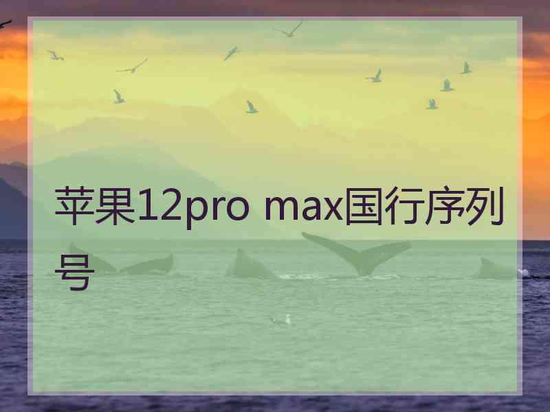 苹果12pro max国行序列号