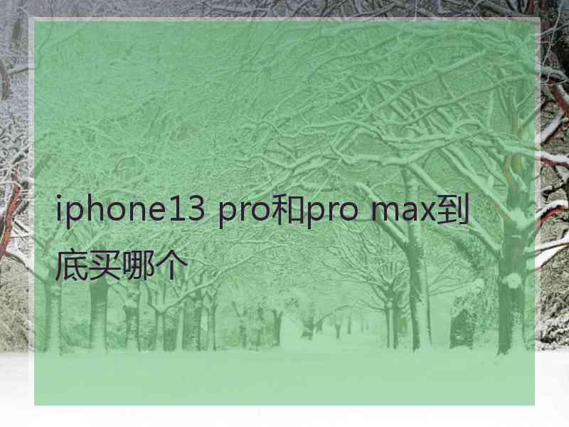 iphone13 pro和pro max到底买哪个