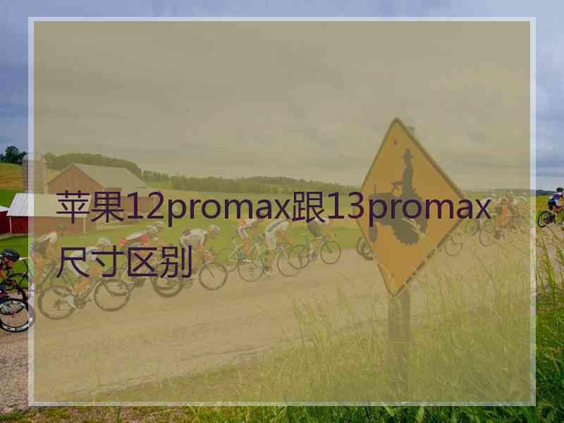 苹果12promax跟13promax尺寸区别