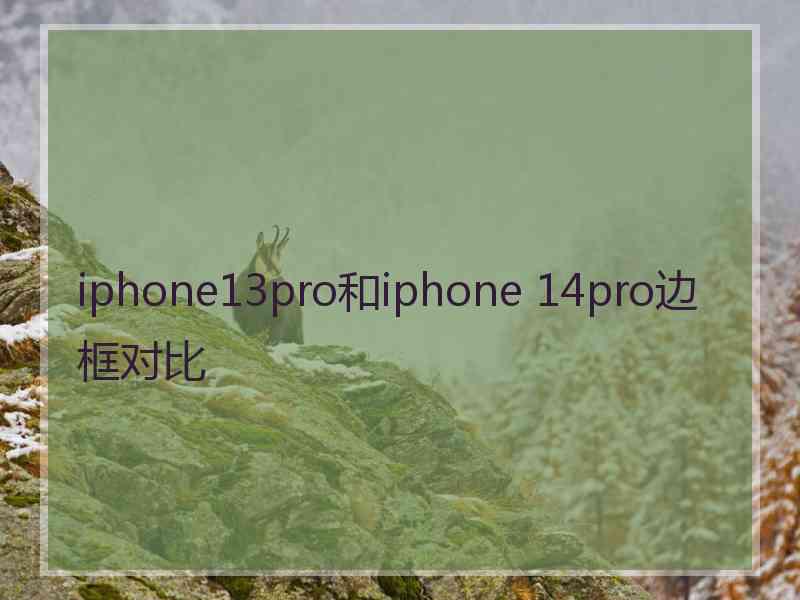 iphone13pro和iphone 14pro边框对比