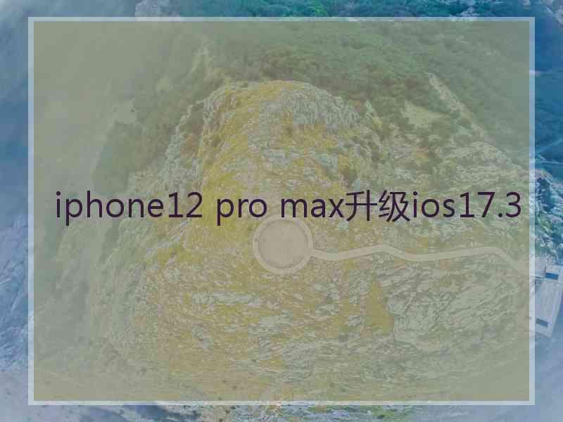 iphone12 pro max升级ios17.3