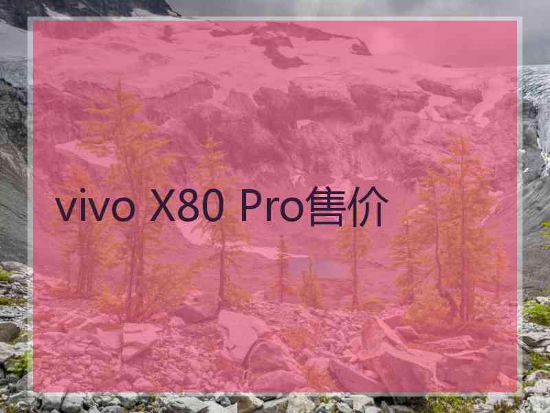 vivo X80 Pro售价