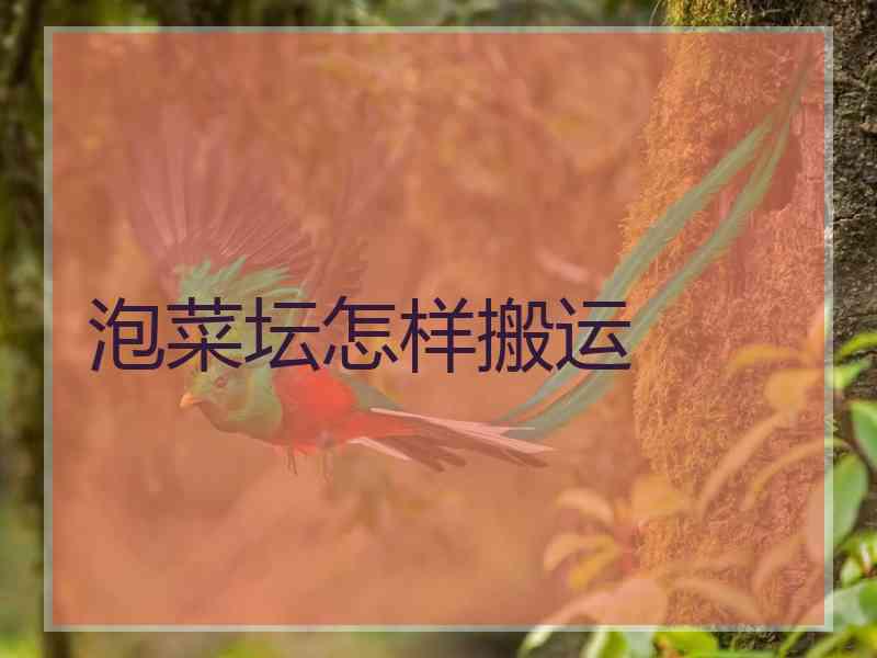 泡菜坛怎样搬运