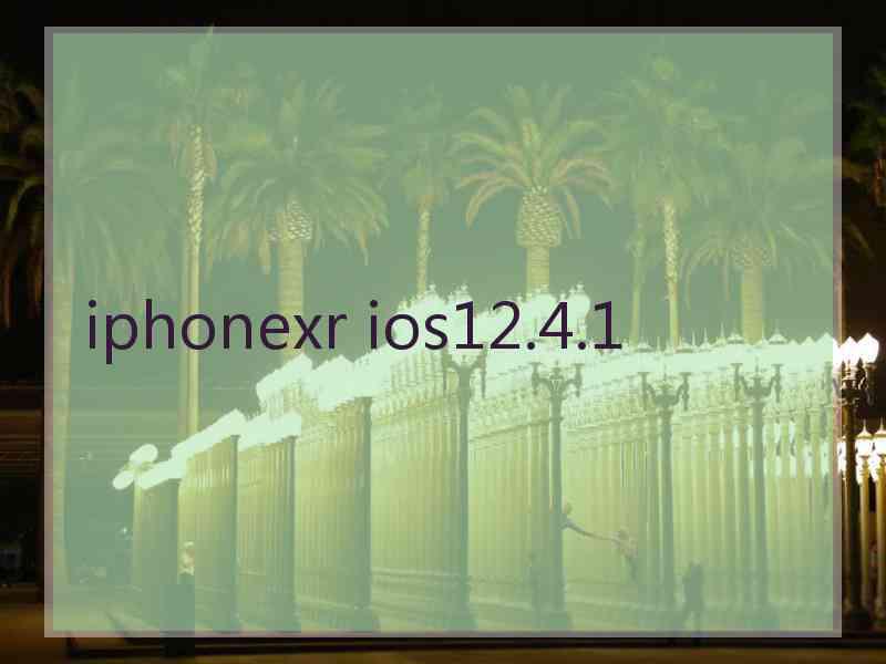 iphonexr ios12.4.1