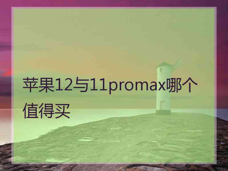 苹果12与11promax哪个值得买