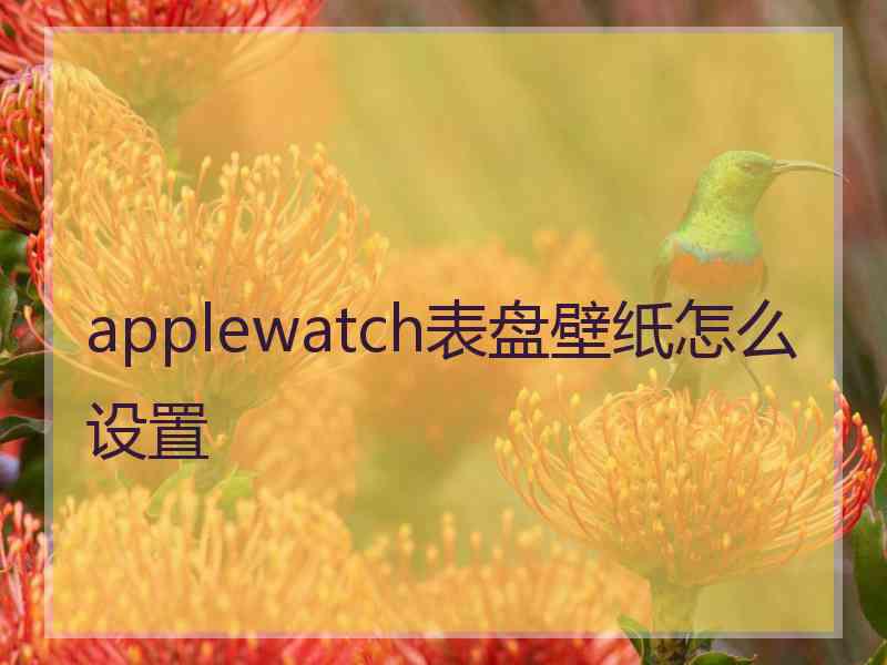 applewatch表盘壁纸怎么设置