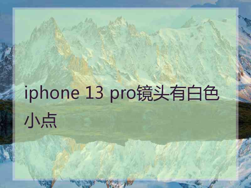 iphone 13 pro镜头有白色小点