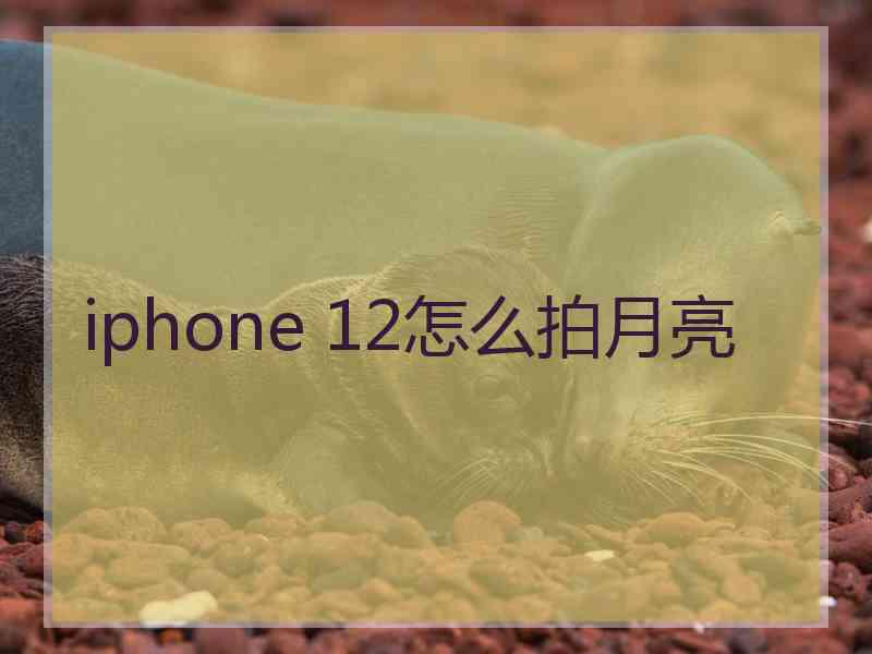 iphone 12怎么拍月亮