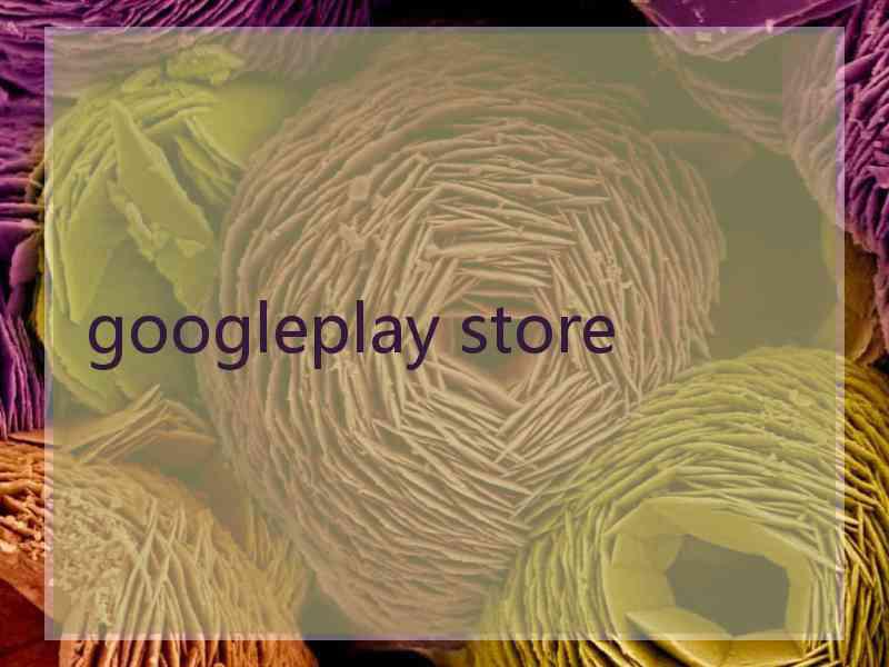 googleplay store