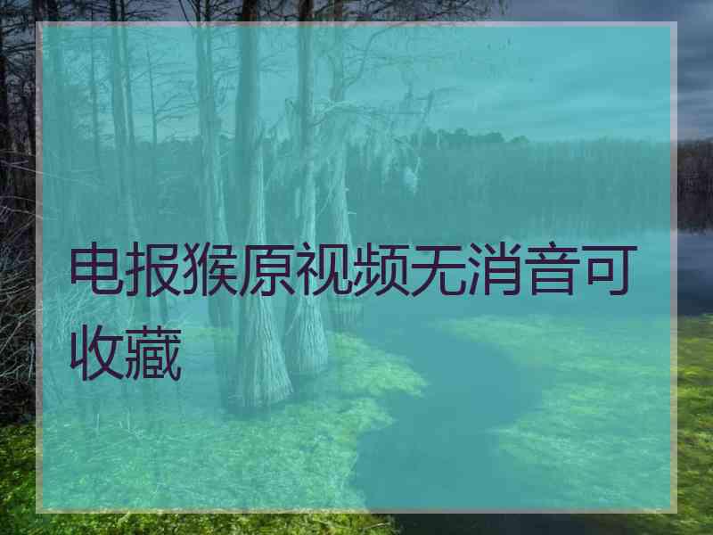 电报猴原视频无消音可收藏