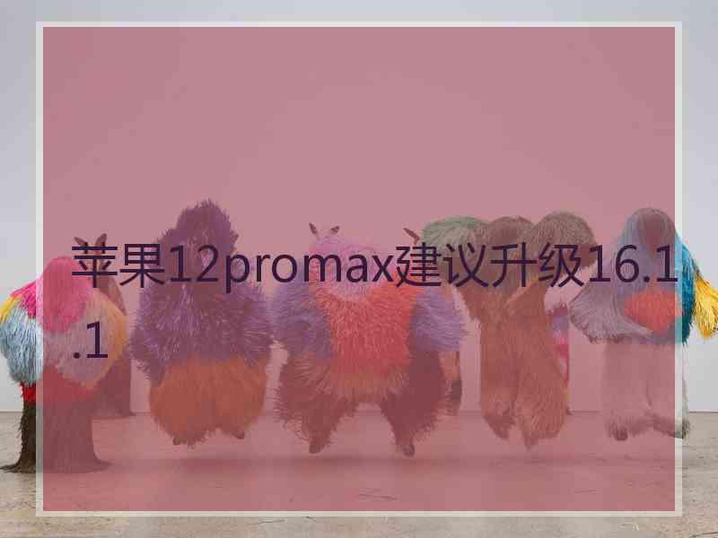 苹果12promax建议升级16.1.1