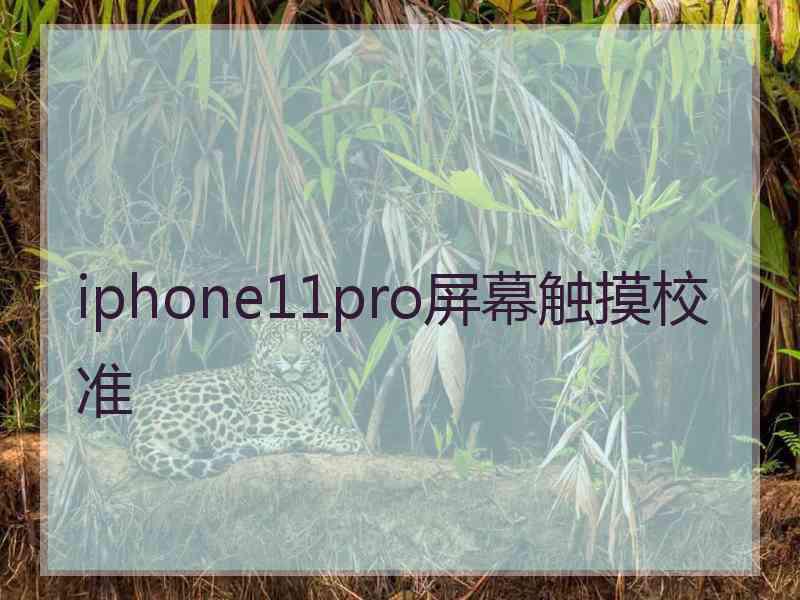 iphone11pro屏幕触摸校准