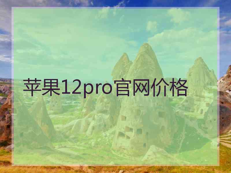 苹果12pro官网价格