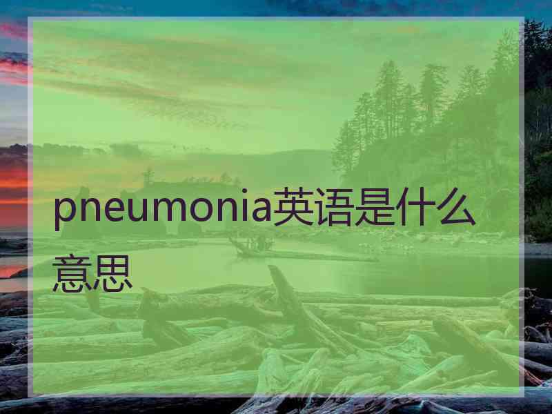 pneumonia英语是什么意思