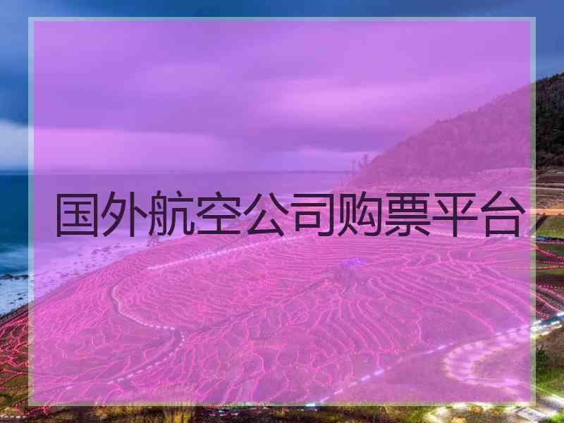 国外航空公司购票平台