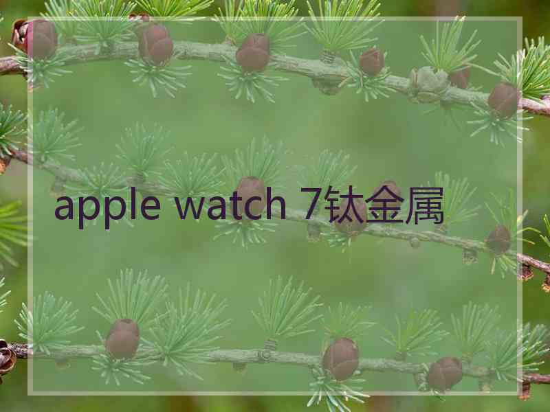 apple watch 7钛金属