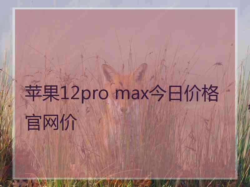 苹果12pro max今日价格官网价