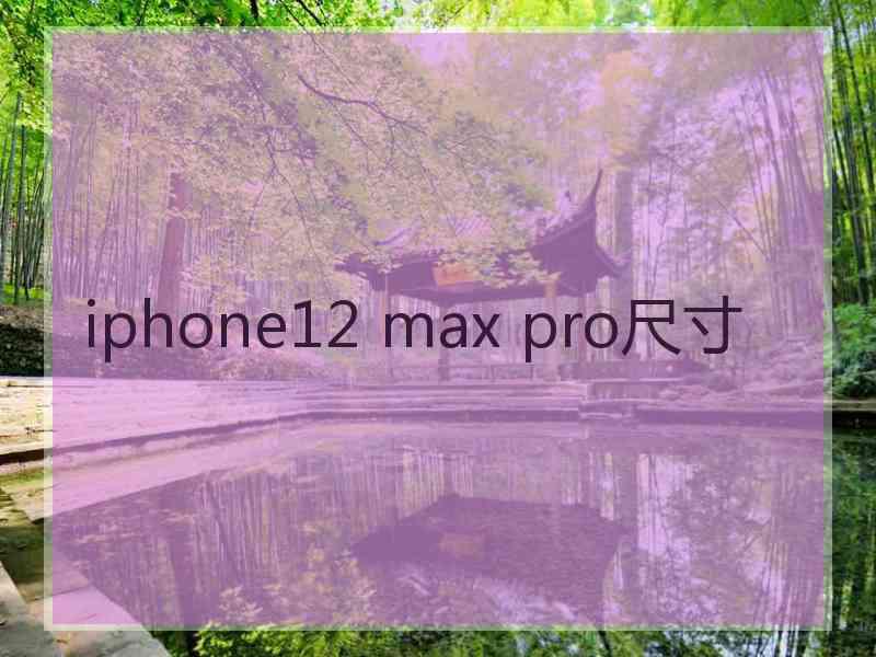 iphone12 max pro尺寸