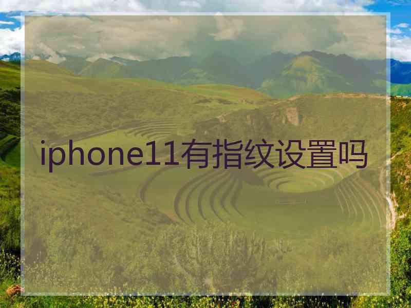 iphone11有指纹设置吗