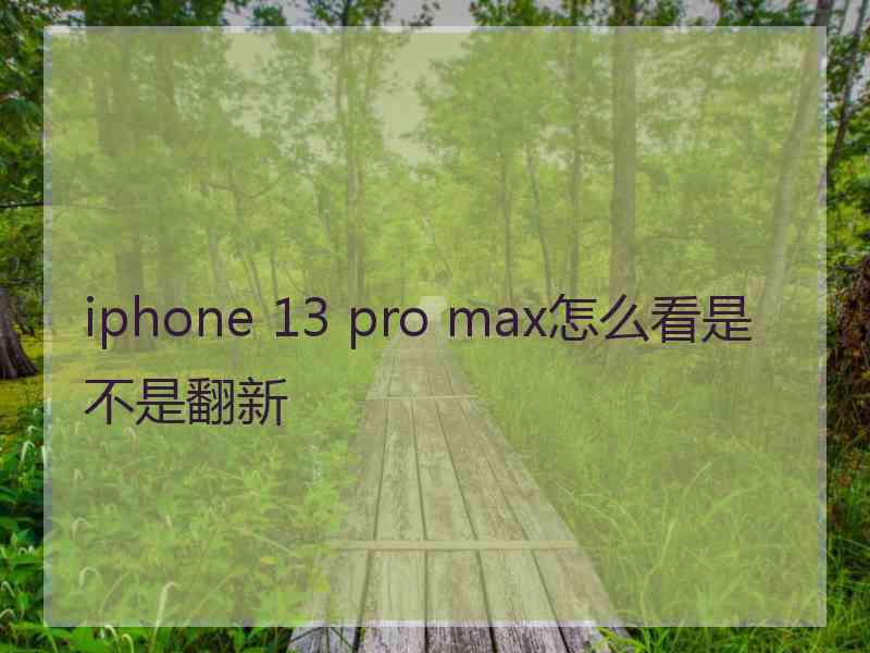 iphone 13 pro max怎么看是不是翻新