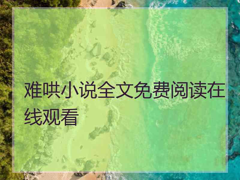 难哄小说全文免费阅读在线观看