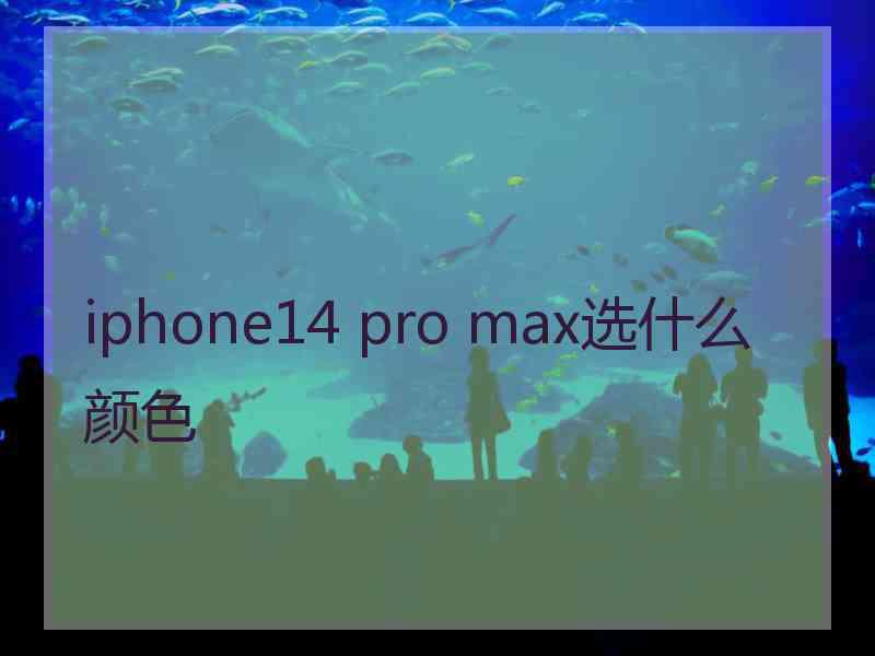 iphone14 pro max选什么颜色